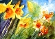 47 - Diane Poole - Daffodils - Watecolour.JPG